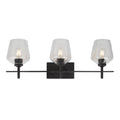 3 Light Bath Vanity Black Finish T888