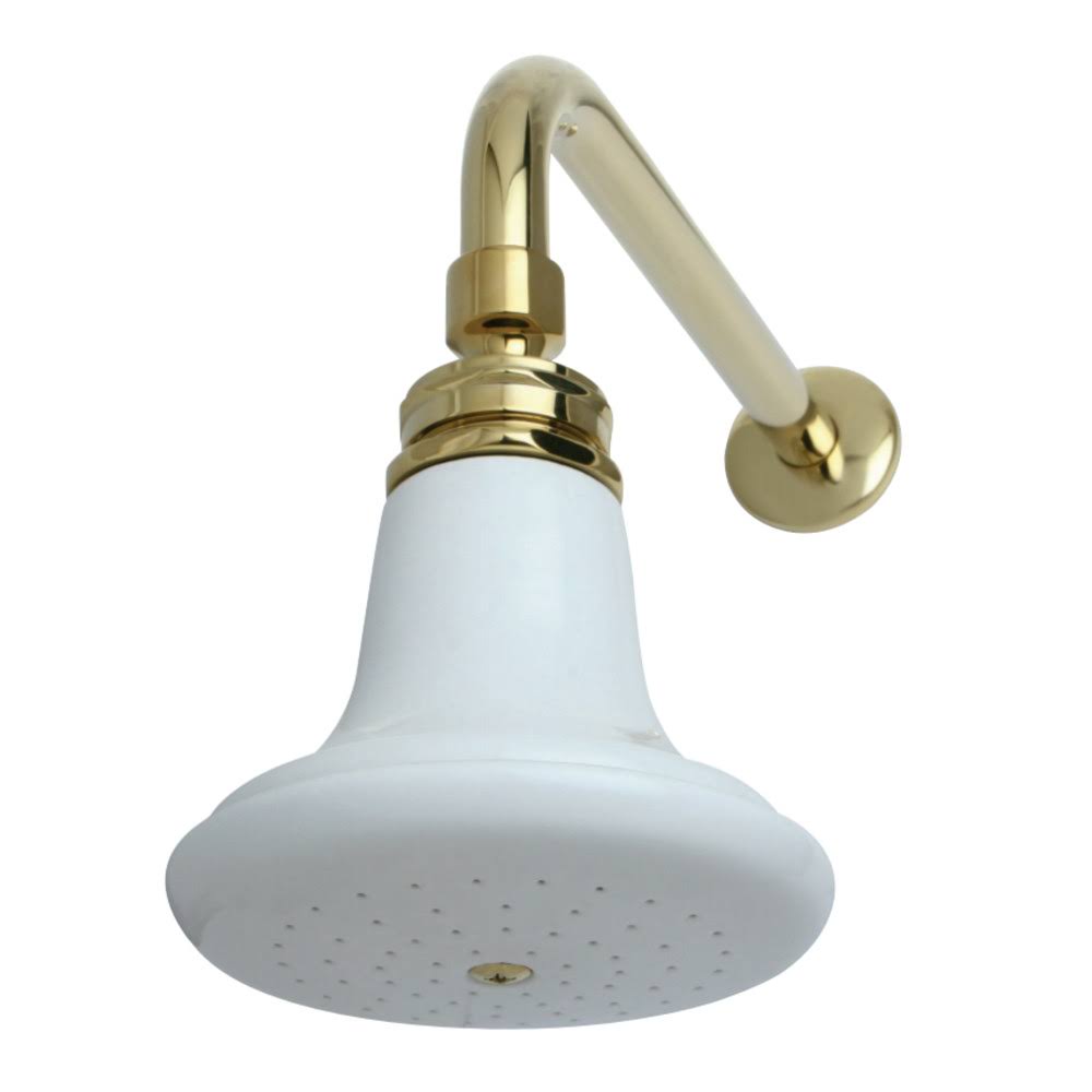 Polished Brass Shower Heads Z30253