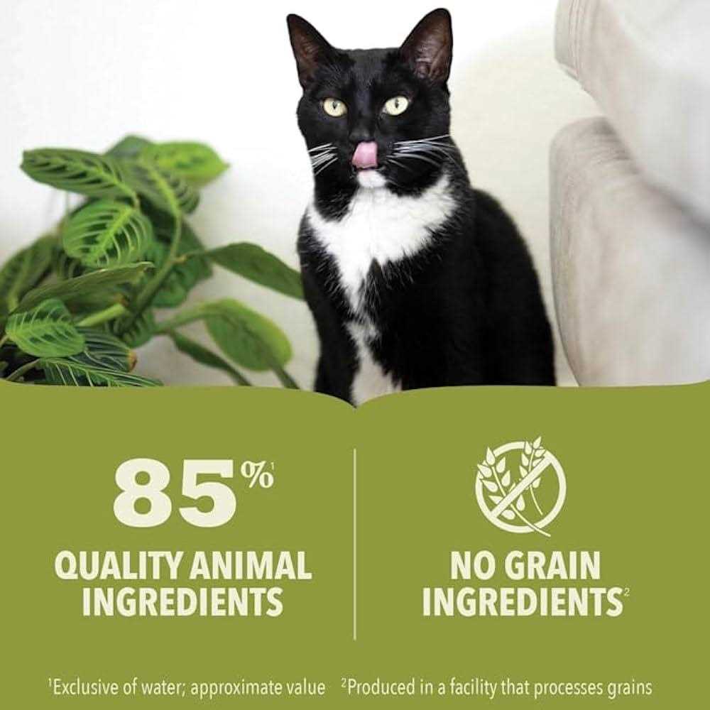 Chicken & Tuna Wet Cat Food A627778