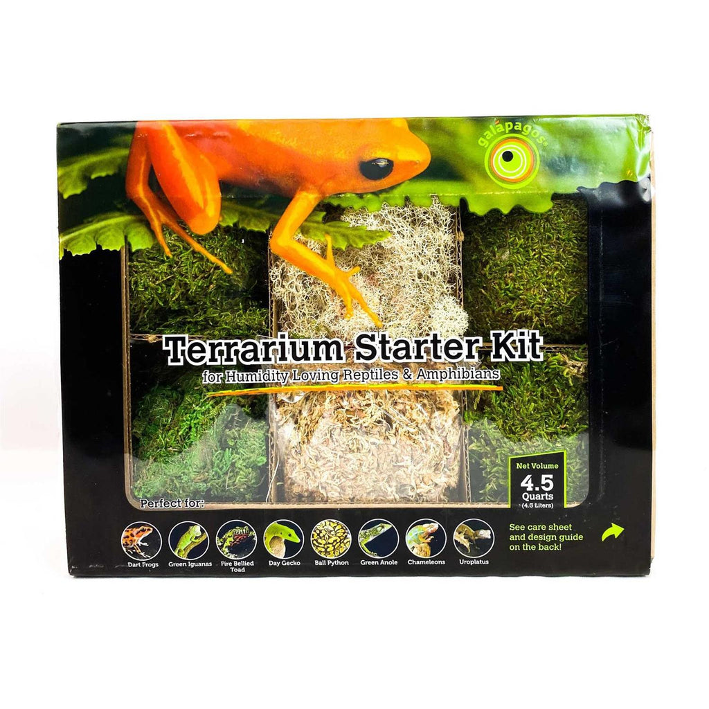 Terrarium Starter Kit T8745
