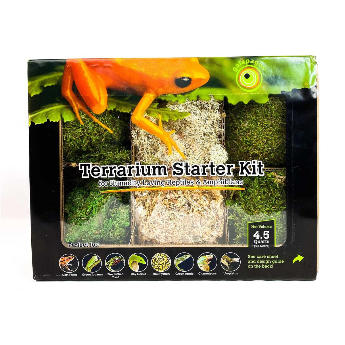 Terrarium Starter Kit T8745