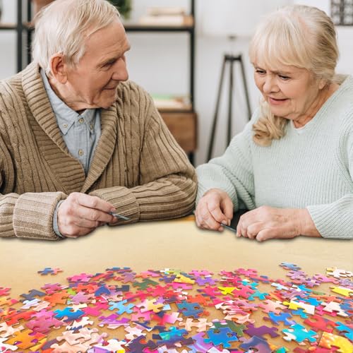 1000 Pieces Jigsaw Puzzles Z234