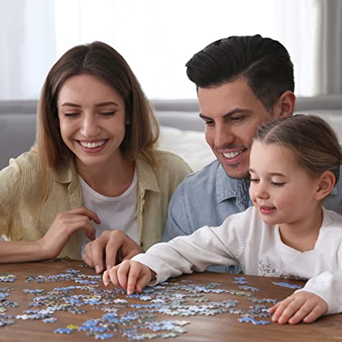 1000 Pieces Jigsaw Puzzles Z234