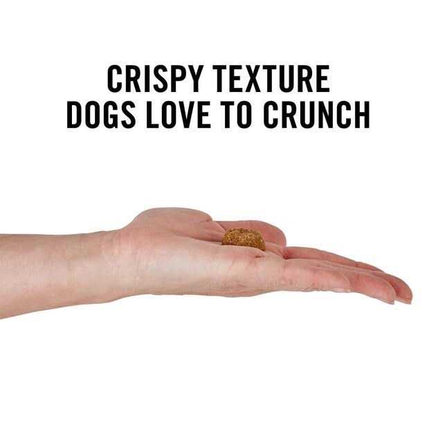 Peanut Butter Grain-Free Oven Baked Crunchy Biscuit Dog Treats C9815