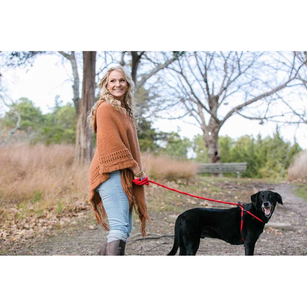 Dog Harness T674626