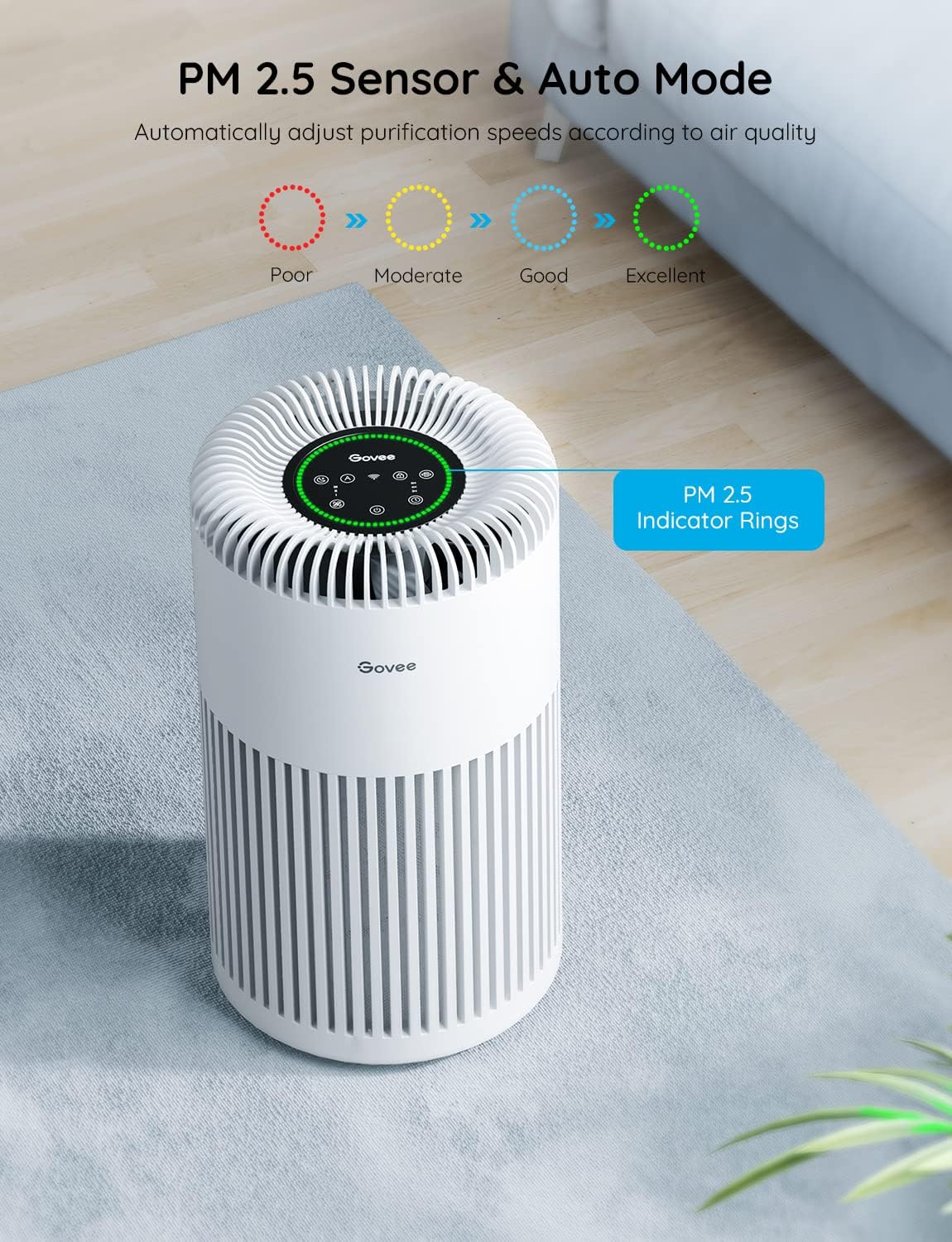 Smart Air Purifier with H13 True HEPA Filter E723