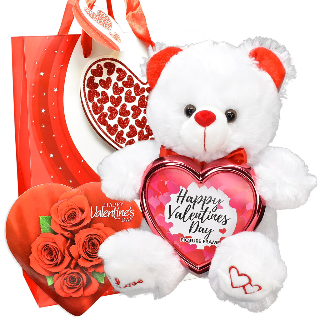 Teddy Bear Picture Frame Gift Bag S25158
