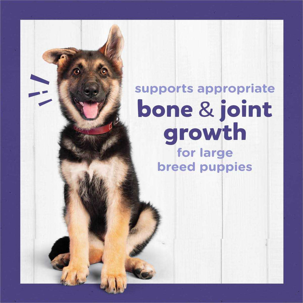 High Protein Large Breed Dry Puppy Food with Real Chicken A302981
