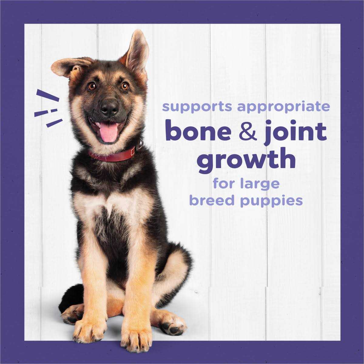 High Protein Large Breed Dry Puppy Food with Real Chicken A302981