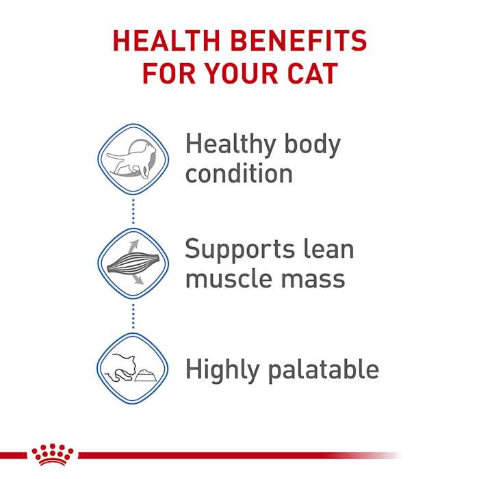 Adult Wet Cat Food Multipack Z188
