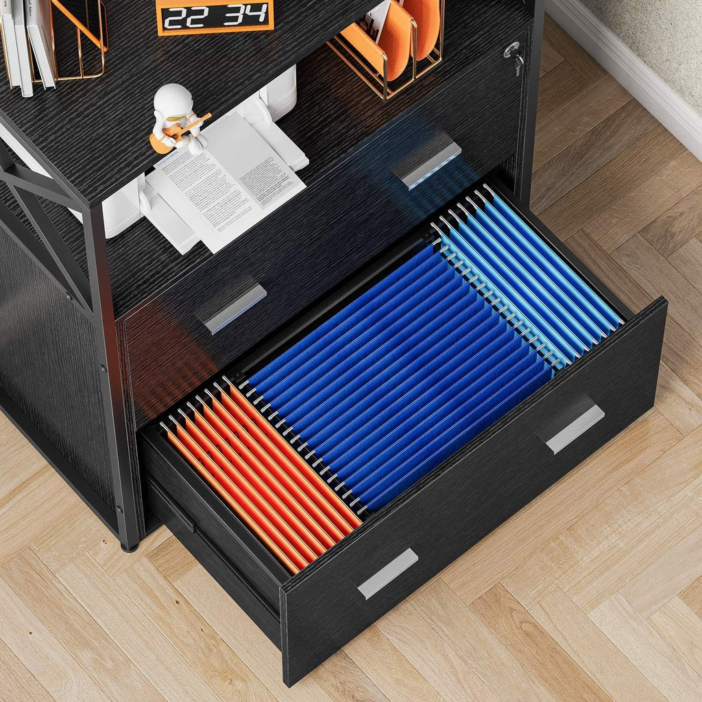 Lateral Filing Cabinet with 2 Drawers, Lockable Storage Cabinet, 31.5” L X 15.8”W X 40.6”H D69464