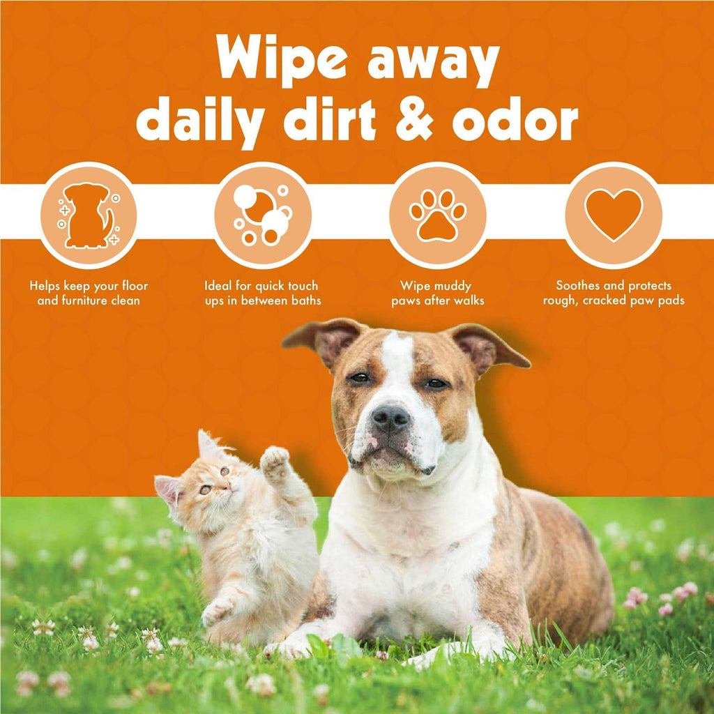 Pet Wipes Z43300
