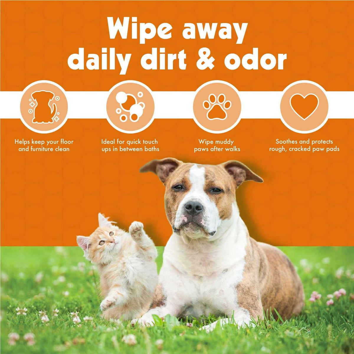Pet Wipes Z43300