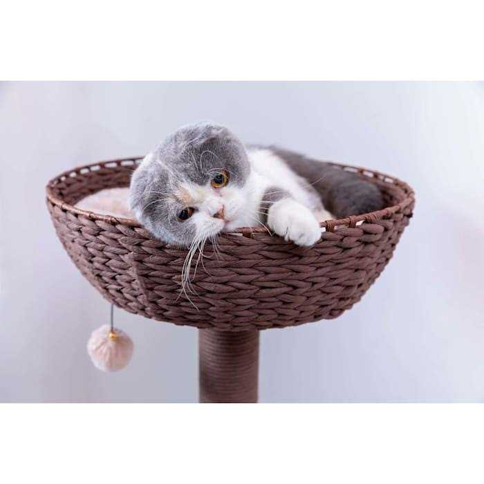 Brown Cat Tree I4990