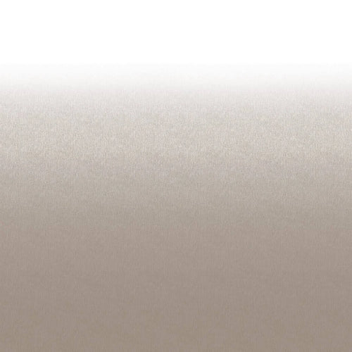 17 ft Tan Replacement Awning Fabric E928466