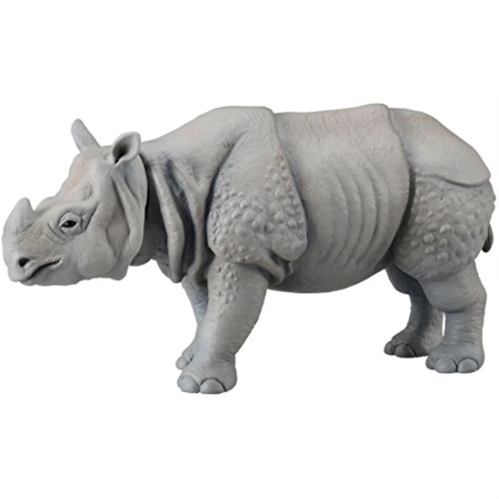Indian Rhinoceros D8583