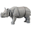 Indian Rhinoceros D8583