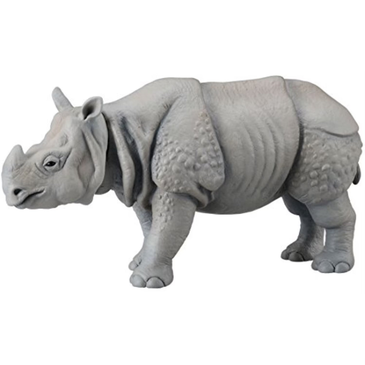 Indian Rhinoceros D8583