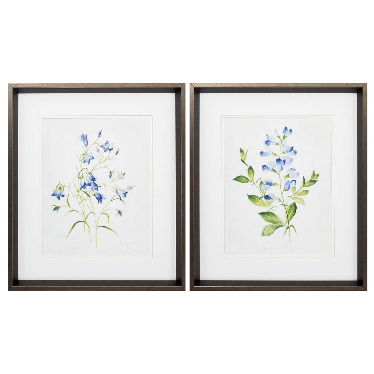 Blue Botanical S/2 E216799