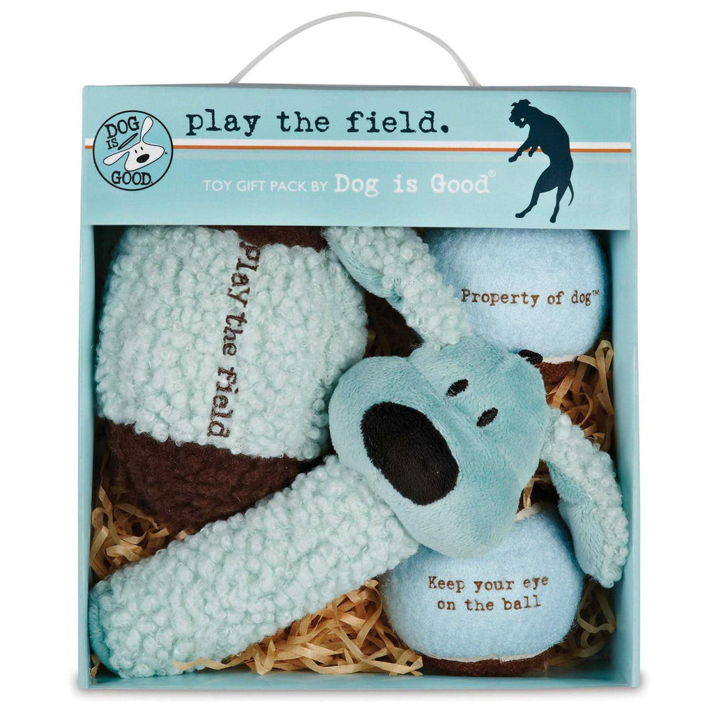 4-Piece Dog Toy Gift Packs V13403