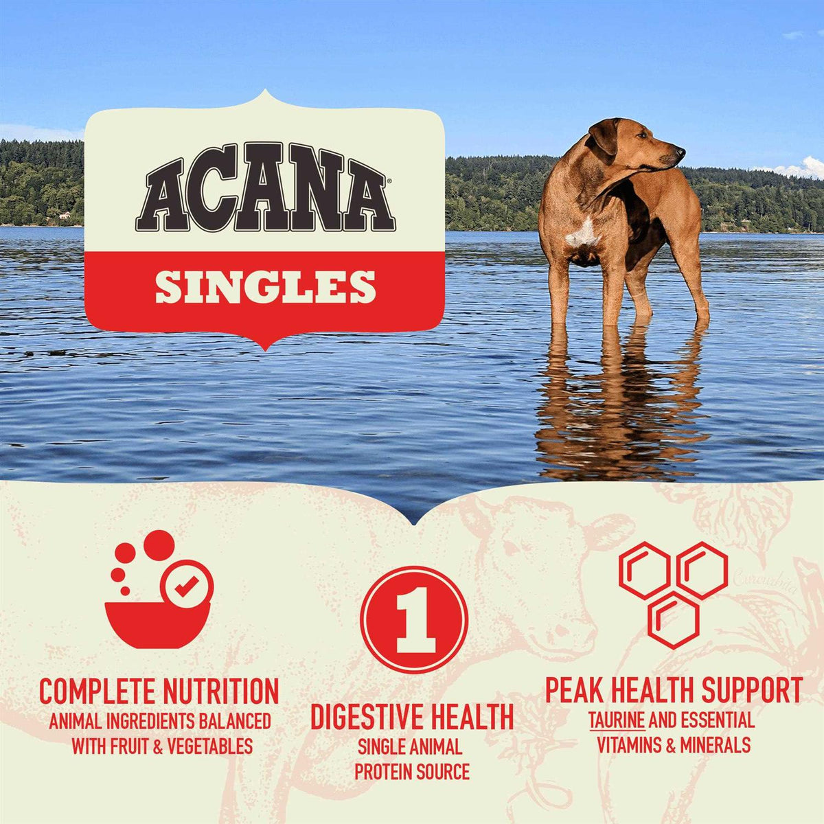 Grain-Free Pork & Squash Dry Dog Food V6354