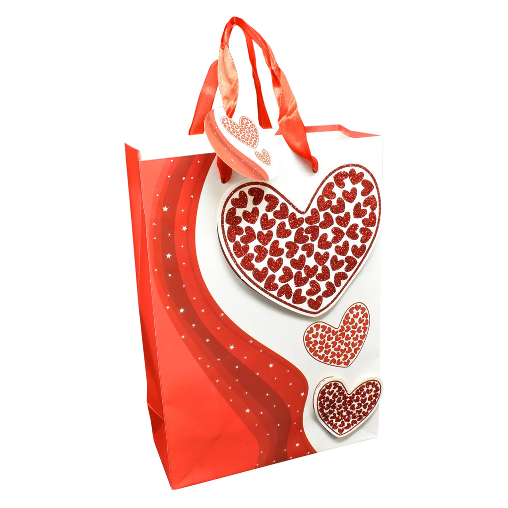 Teddy Bear Picture Frame Gift Bag S25158