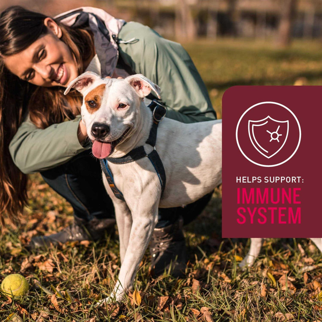 Soft Chews for Dogs K766