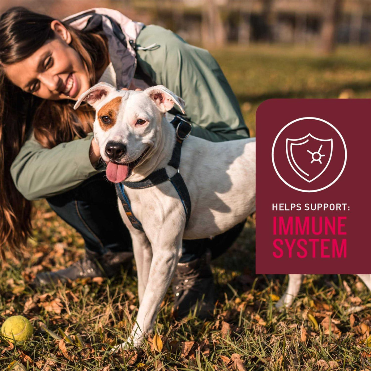 Soft Chews for Dogs K766