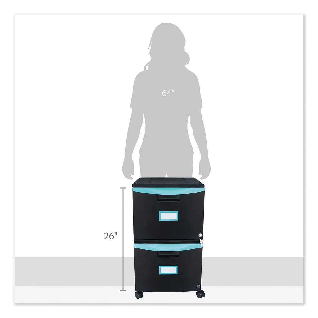 2-Drawer Mobile File Cabinet, Black H645460