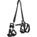 Front & Rear Lift Dog Harness, Medium T745796