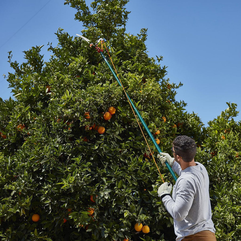 Tree Pruner V98040