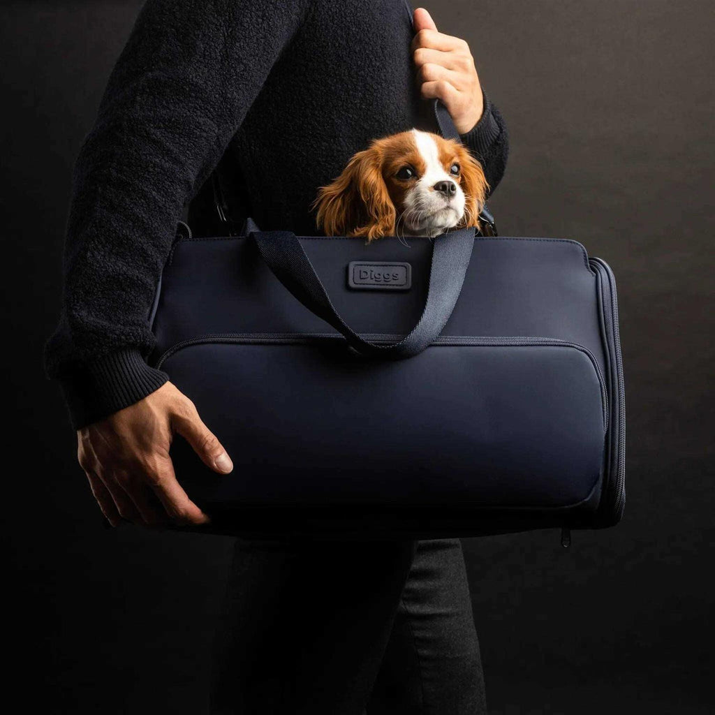 Travel Pet Carrier for Small Dogs and Cats V53423
