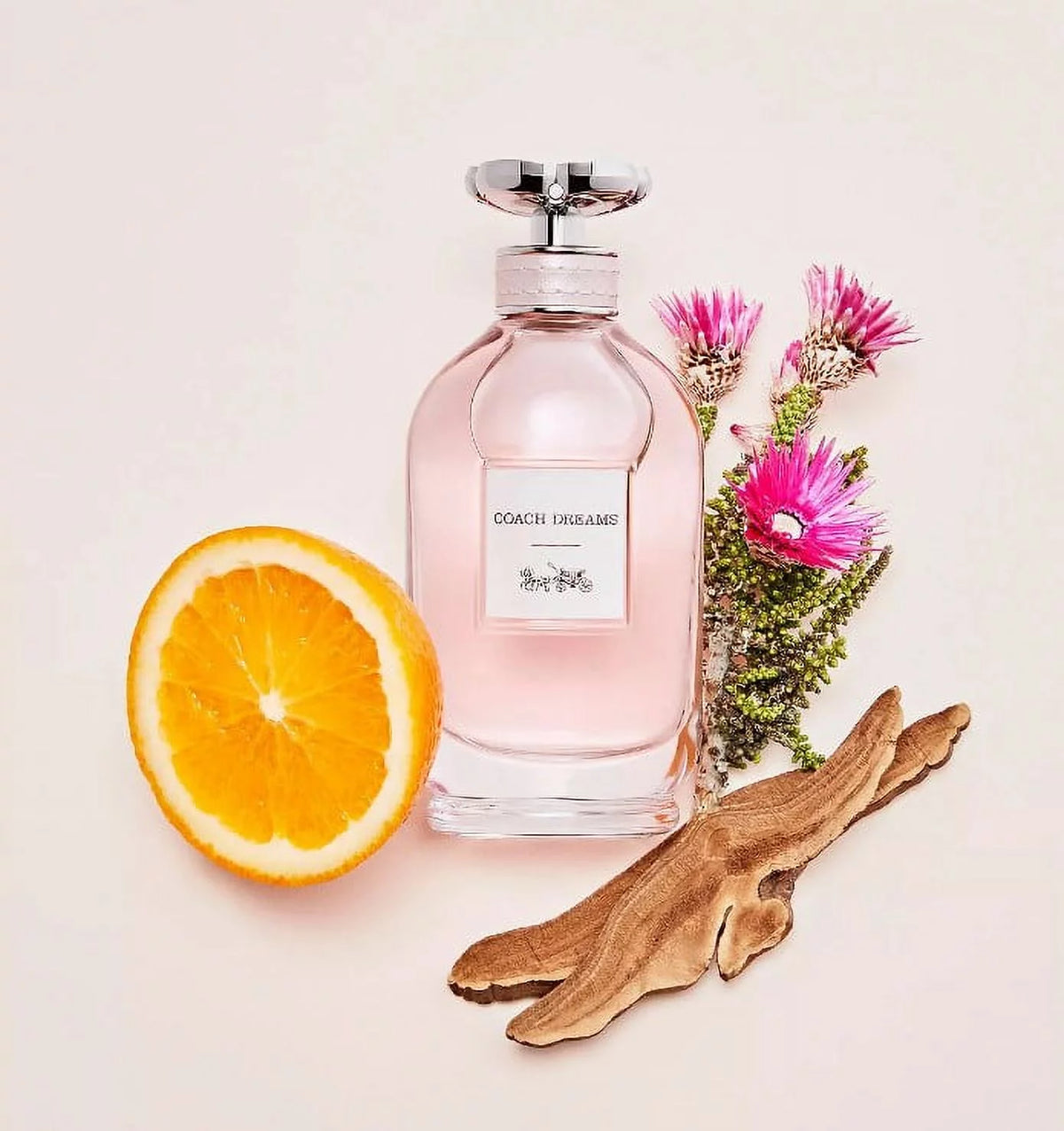 Eau de Parfum 3.0 fl oz X72949