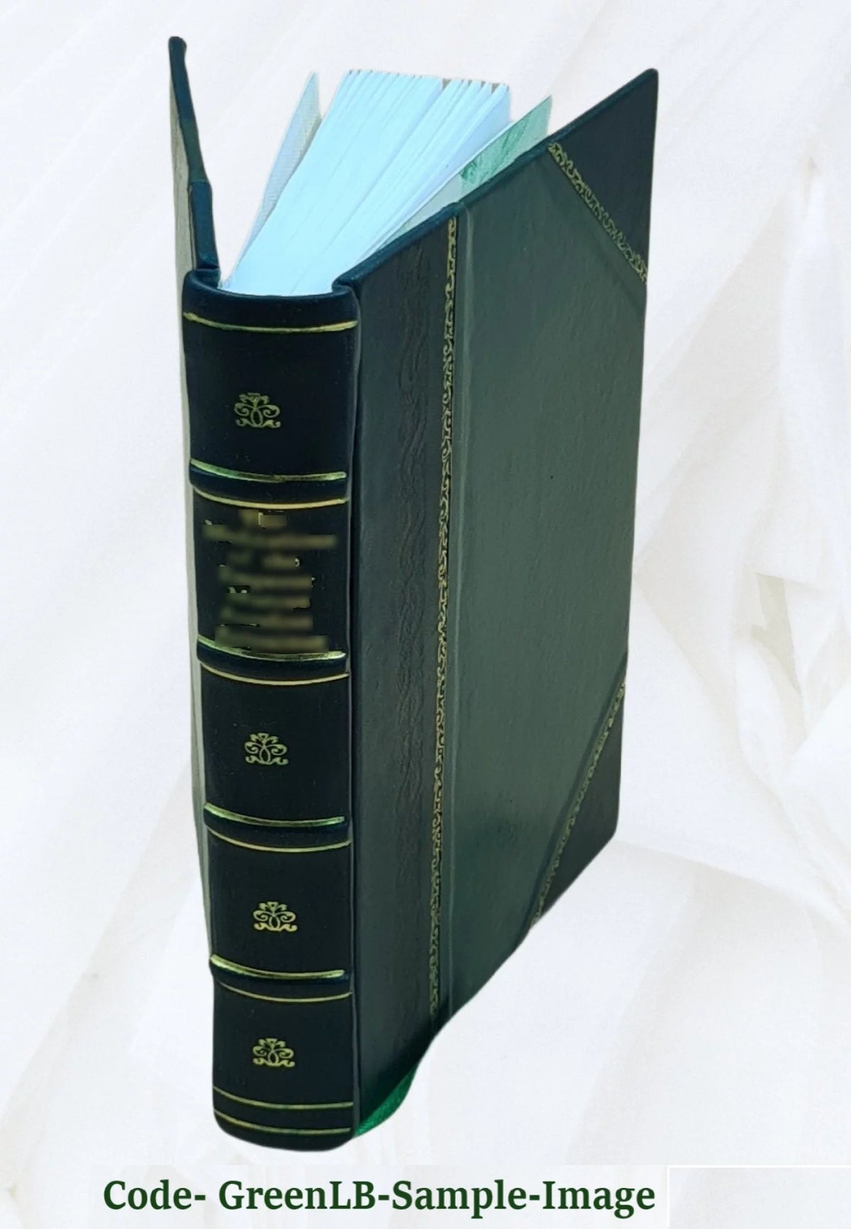Leather Bound Book B1657