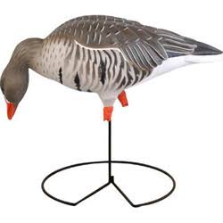 Full-Body Specklebelly Decoy Pack Y4892
