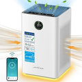 Air Purifier with H13 True HEPA U116